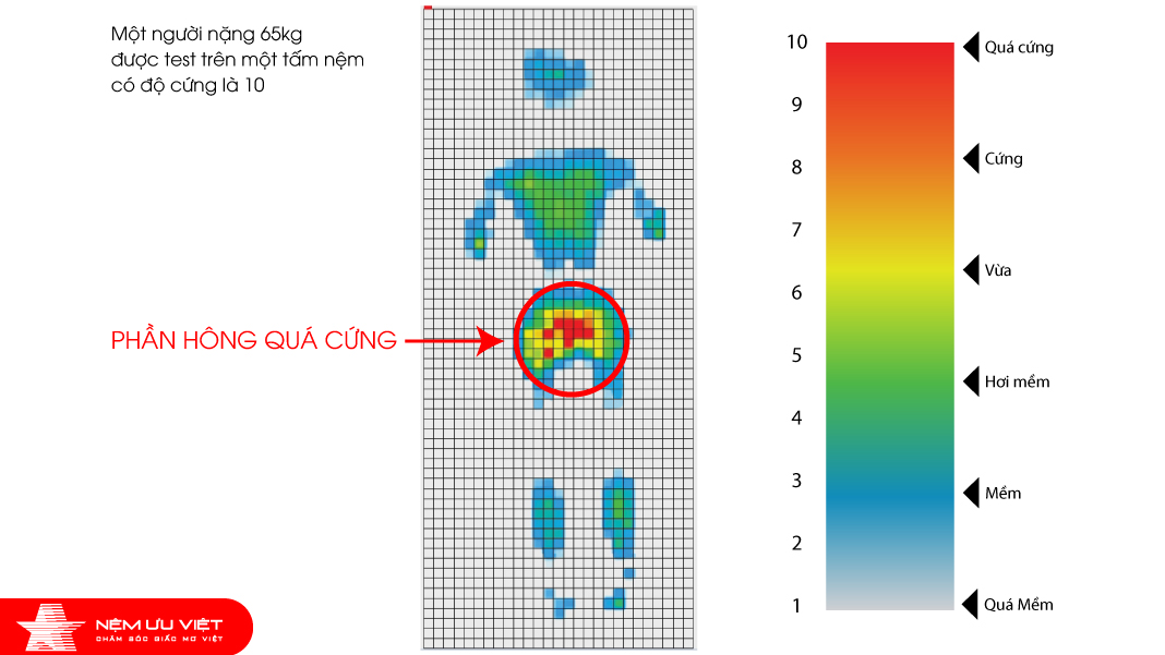 Nệm lò xo túi Isabelle 7 vùng Memory Foam – Pillow Top